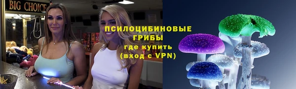 ПСИЛОЦИБИНОВЫЕ ГРИБЫ Верхнеуральск