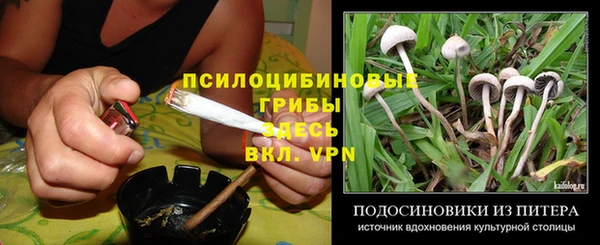 стафф Семёнов