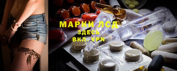 ПСИЛОЦИБИНОВЫЕ ГРИБЫ Верхнеуральск
