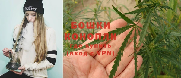 скорость Бородино