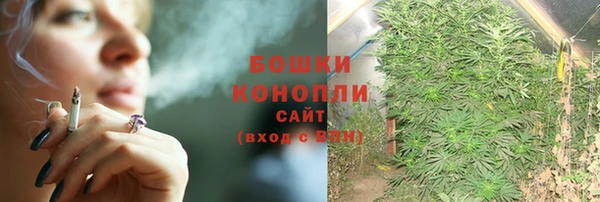 МДПВ Володарск
