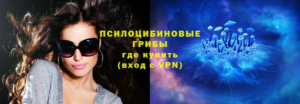 ПСИЛОЦИБИНОВЫЕ ГРИБЫ Верхний Тагил
