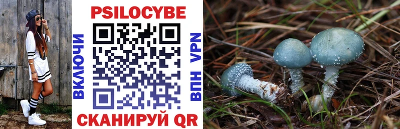 Псилоцибиновые грибы Psilocybine cubensis  Далматово 